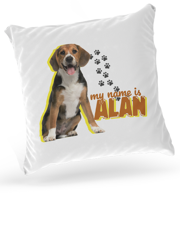 Cuscino Personalizzabile - immagine 5